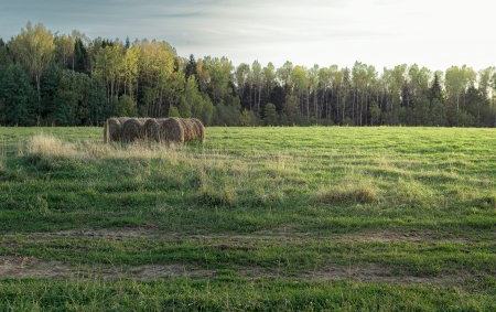 Русская природа рядом