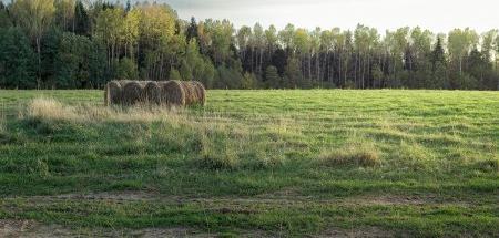 Русская природа рядом