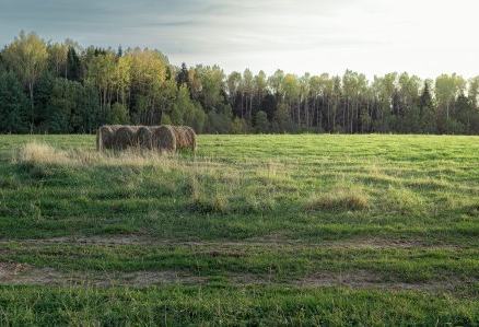 Русская природа рядом